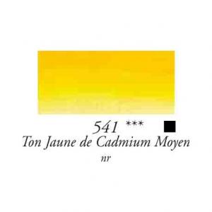 Rive Gauche oil paints 40ml.  № 541 - Cadmium Yellow Medium Hue 