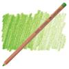  Faber Castell soft pastels pencils Earth Green Yellowish  168