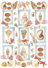  18 Paper for Decoupage 50 x 70 cm., Seashells
