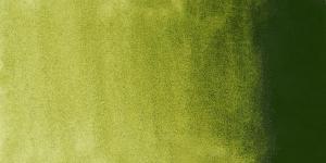  813 Sennelier акварел 1/2 кубче, Серия 1 - Olive Green 
