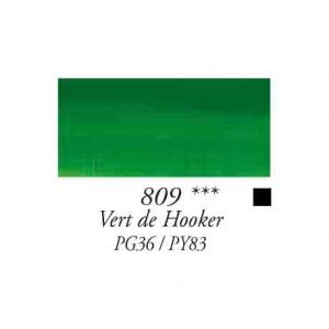 Rive Gauche oil paints 40ml.  № 809 - Hookers Green 