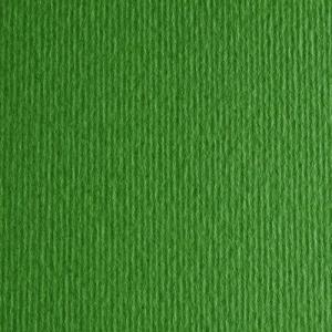 Цветен Картон Elle Erre, 50 x 70 cm, 220 g/m2, № 111, зелен    