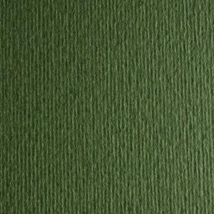 Цветен Картон Elle Erre, 50 x 70 cm, 220 g/m2, № 128, тъмно зелен  