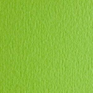 Цветен Картон Elle Erre, 50 x 70 cm, 220 g/m2, № 110, светло зелен    