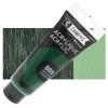  809 Raphael acrylic 100ml. - Hooker`s Green 