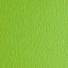 Цветен Картон Elle Erre, 50 x 70 cm, 220 g/m2, № 110, светло зелен    