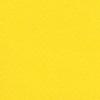 Prisma paper 220 gr. 50/70 golden yellow №1 